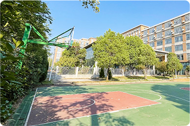 篮球场